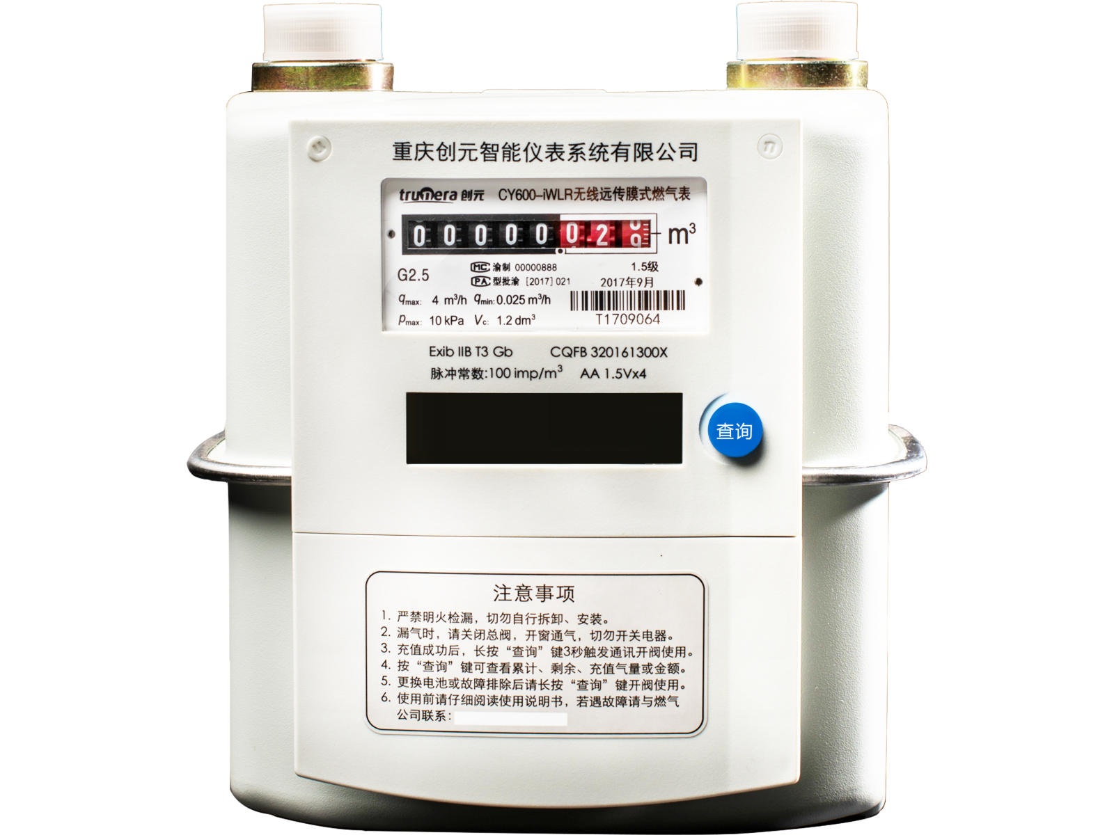 13-CY600-iWLR-G2.5_无线远传膜式燃气表